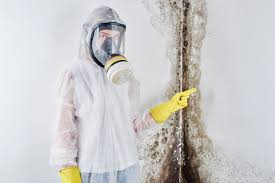 Best Emergency Mold Remediation in Garrison, TX